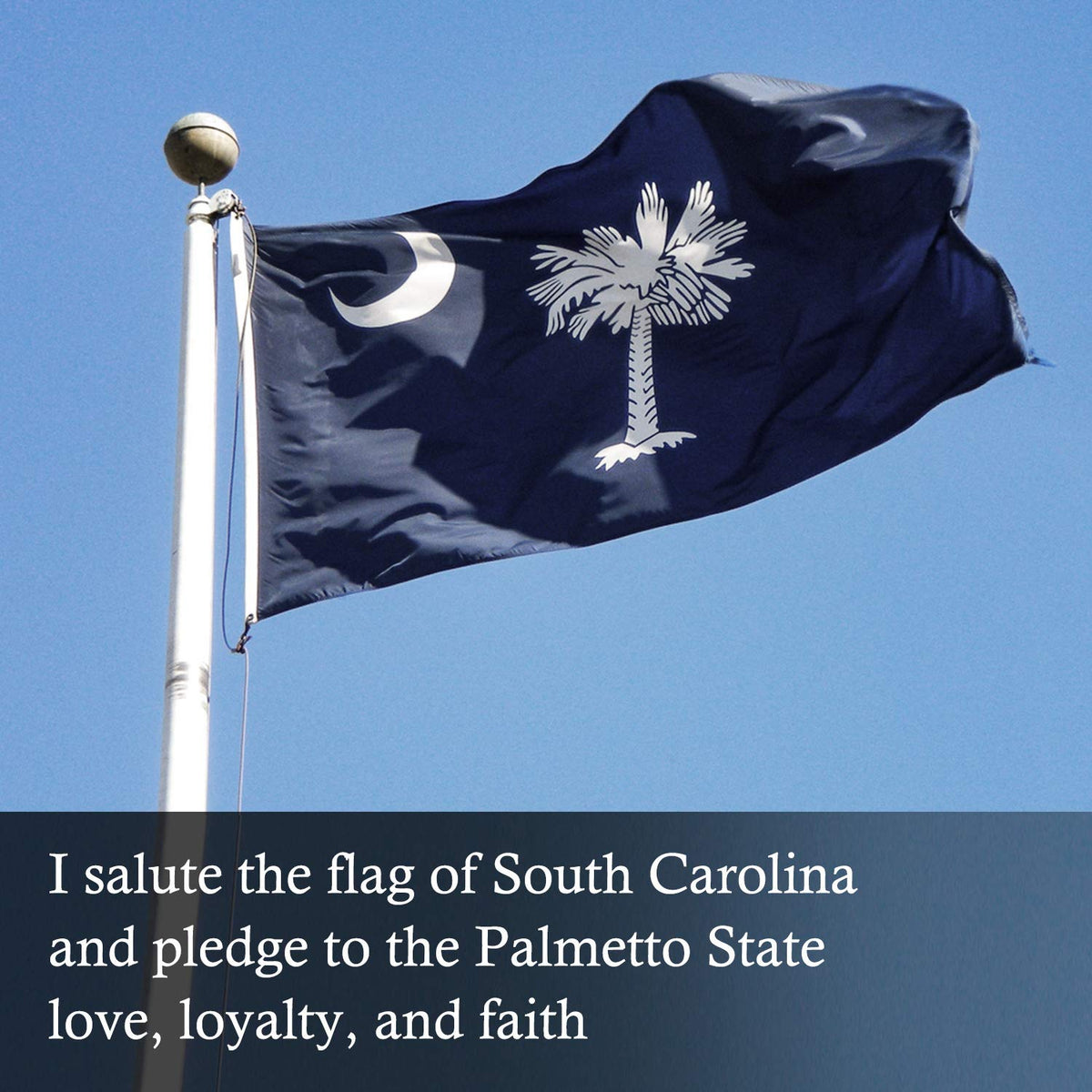FLAGBURG SC flag embroidery highlights the palmetto tree design