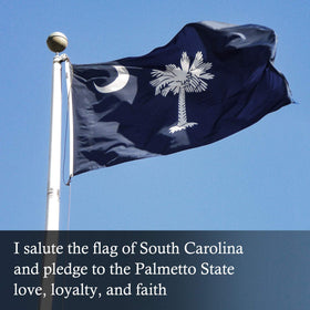 FLAGBURG SC flag embroidery highlights the palmetto tree design