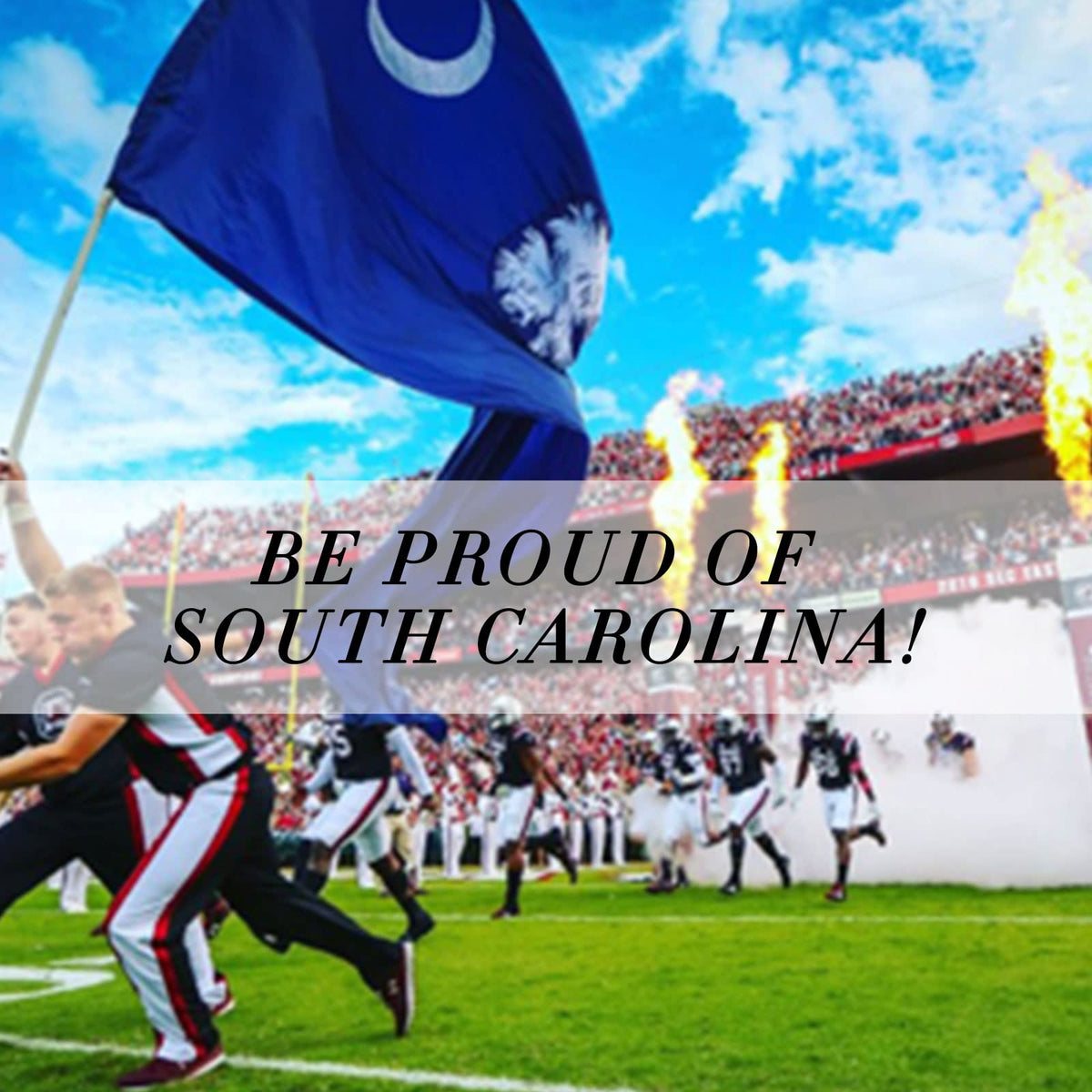 FLAGBURG SC flag in heavy-duty nylon designed to withstand all weather
