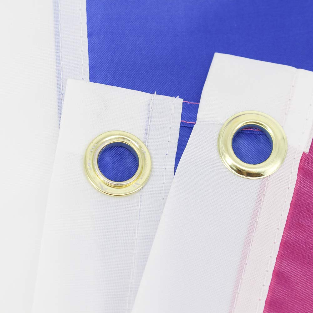 Flaglink bisexual flag outdoor display suitable for balcony or storefront.