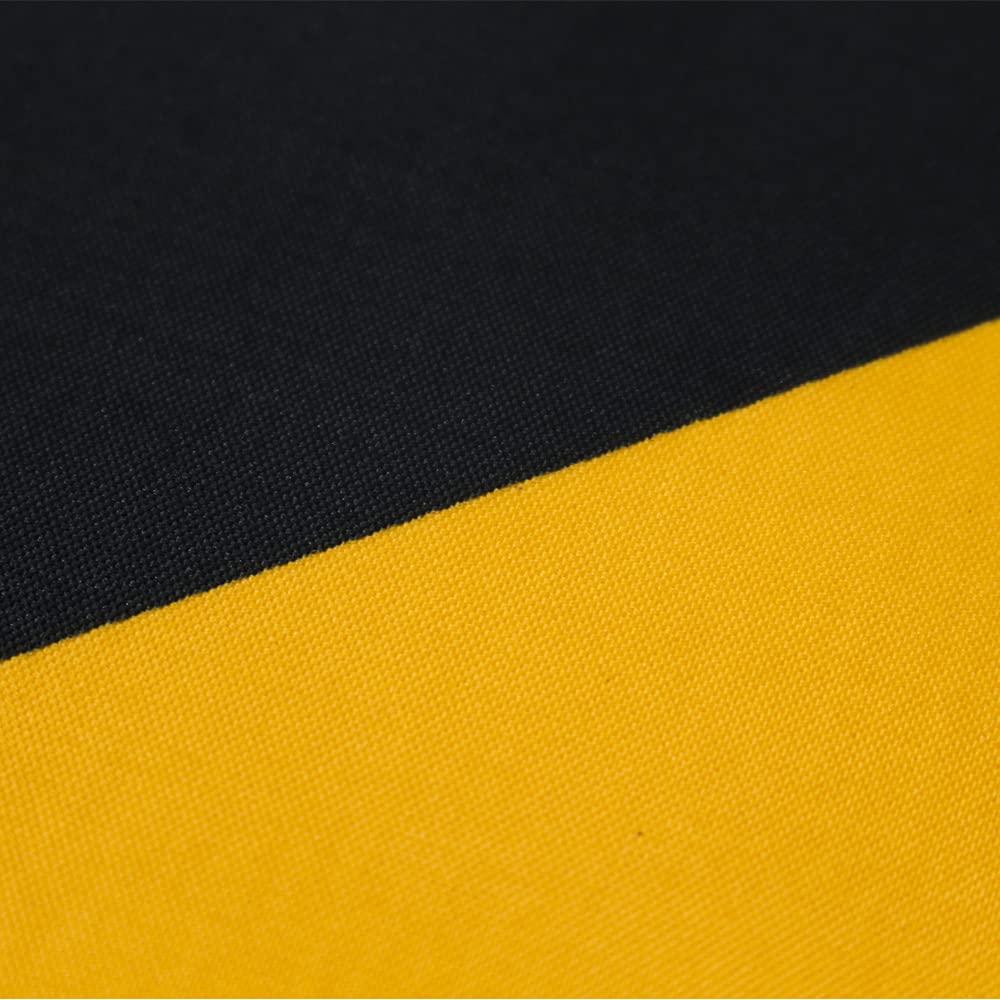 FlagLink Progress Pride Flag with brass grommets for secure mounting