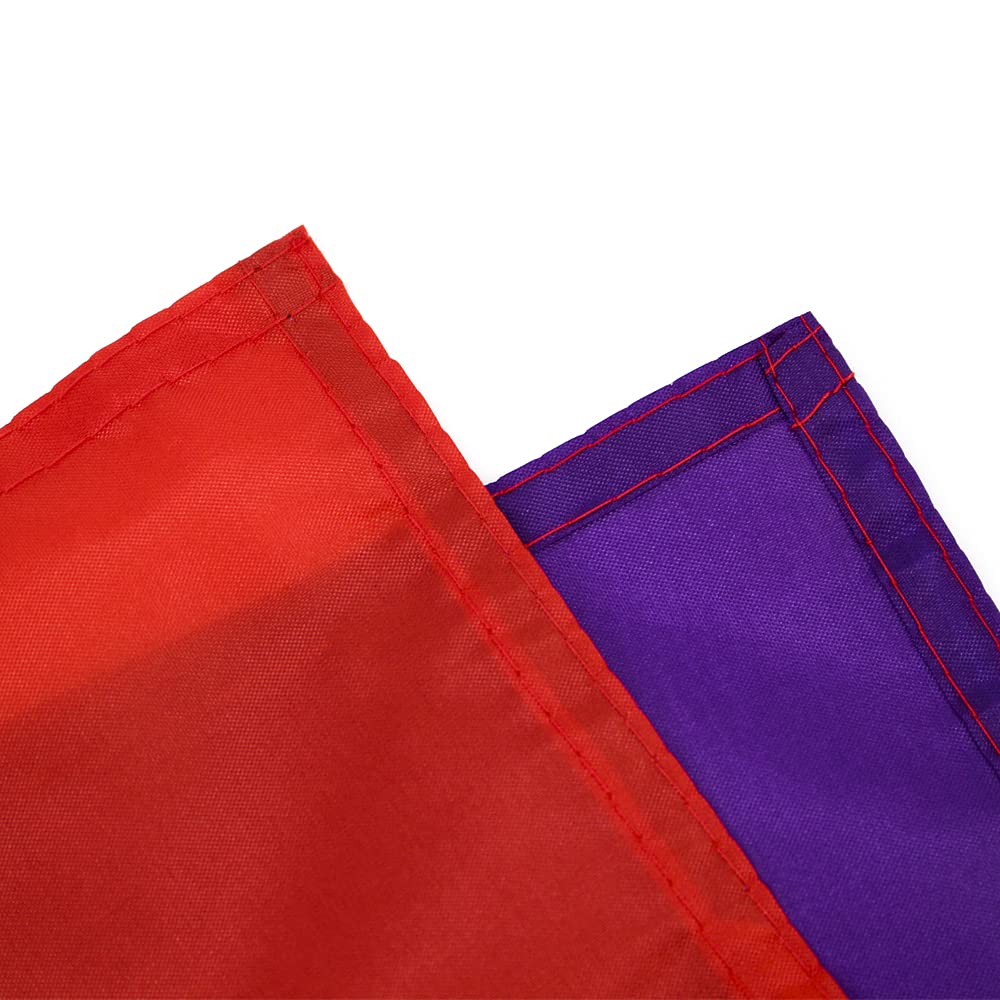 FlagLink Progress Pride Flag uses UV-resistant dye to keep colors bright