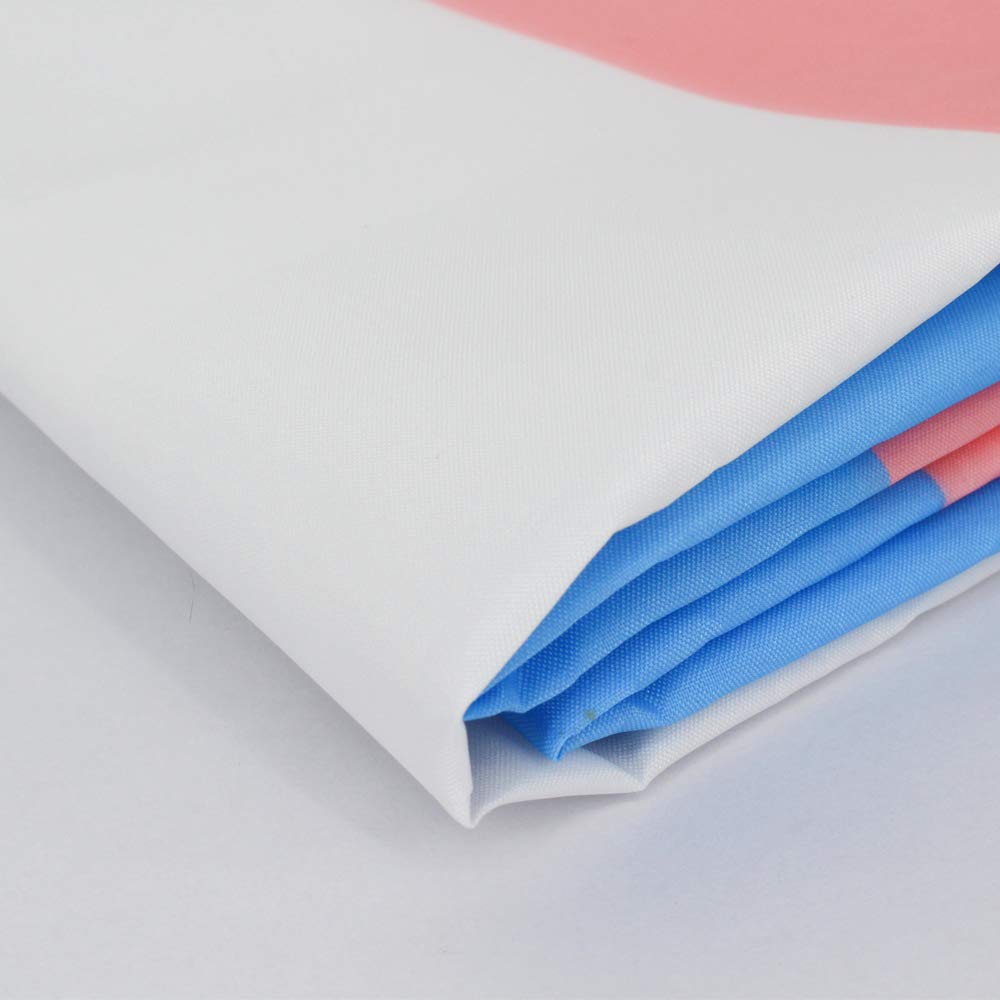 Flaglink transgender flag banner ideal for storefronts and events.