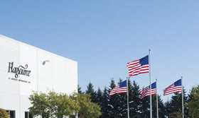 FlagSource Minnesota flag fade-resistant colors endure sun and rain.