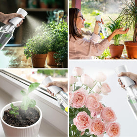 FLAIROSOL Botanica plant care tool is versatile for indoor gardens and sunlit balconies.
