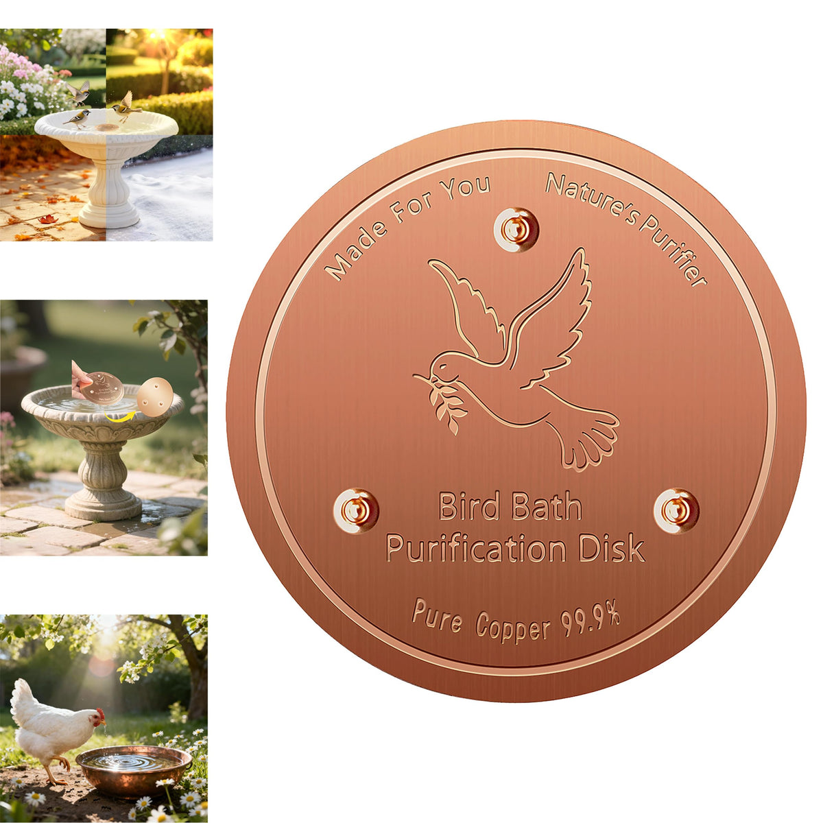 FlameFam copper disk on a birdbath improves water clarity for birds