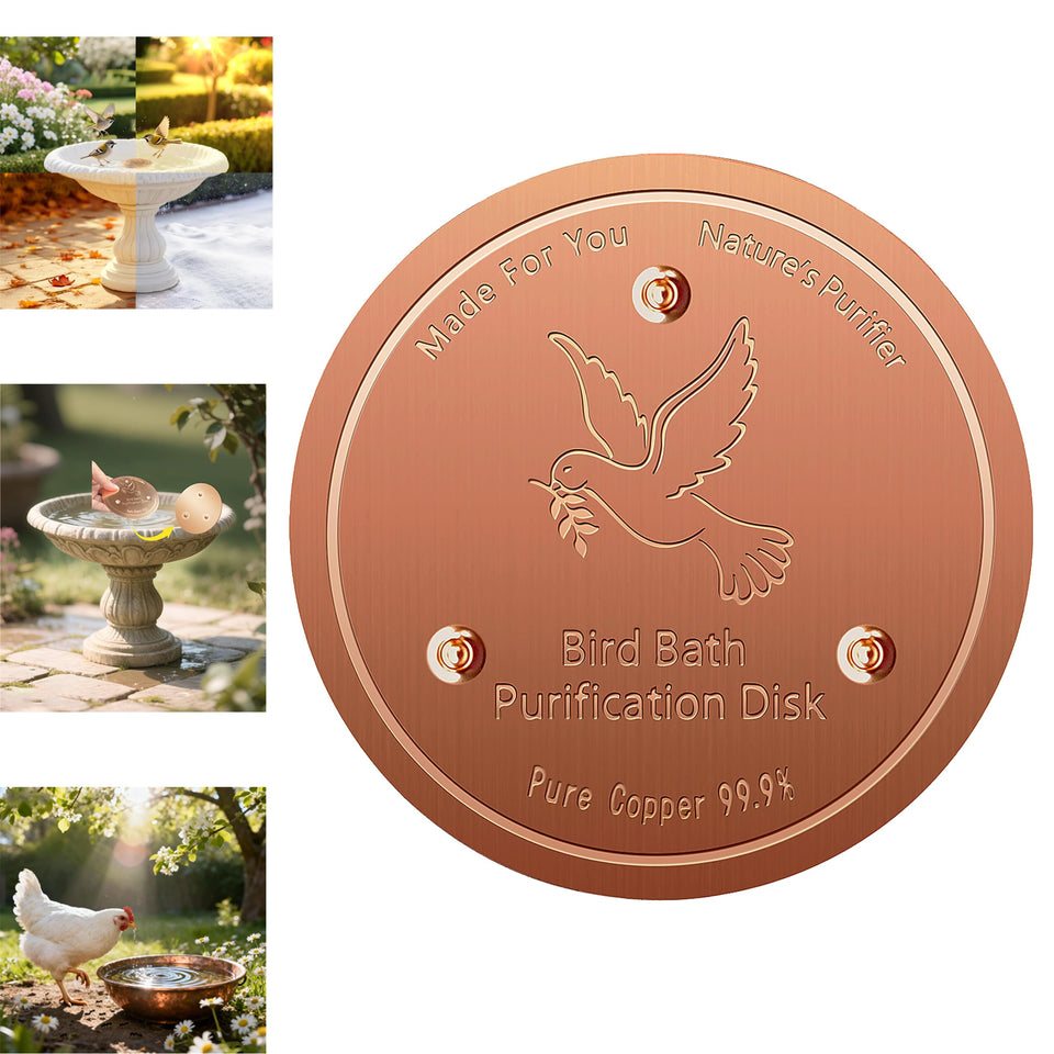 FlameFam copper disk on a birdbath improves water clarity for birds