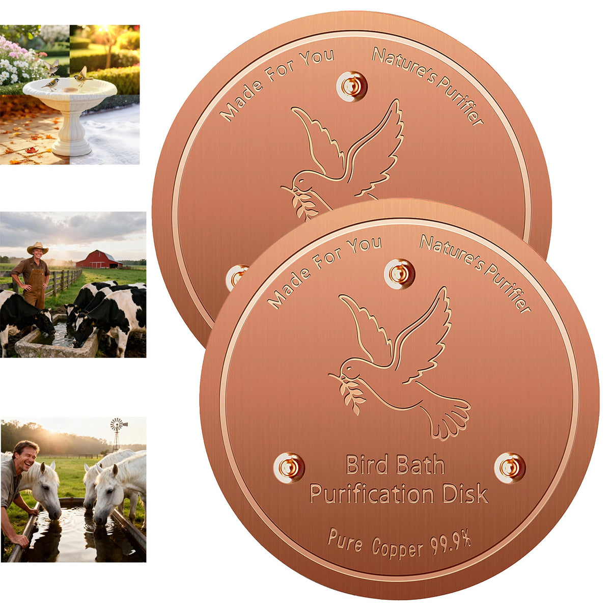 FlameFam copper disk for birdbath keeps water clean for birds.