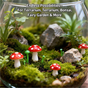FlamingoCasa fairy garden mushrooms: serene forest-floor vibe around bonsai or terrarium base.
