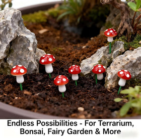 FlamingoCasa moss-terrain accents: capture natural textures with low-maintenance charm.