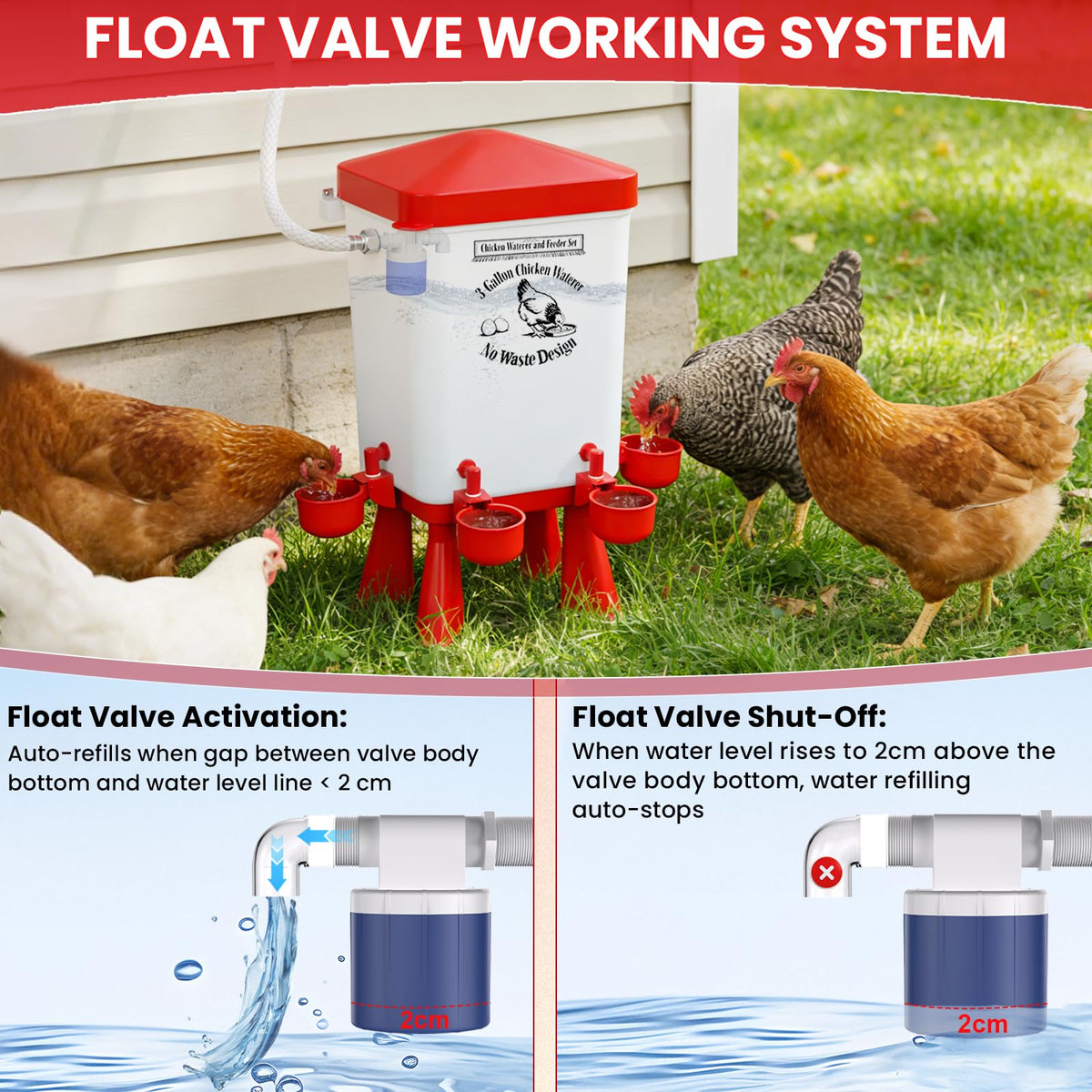 Flapiki coop setup adds convenience for backyard poultry