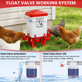 Flapiki coop setup adds convenience for backyard poultry