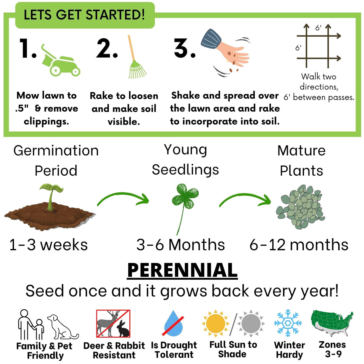 Flawn Seed Kits eco-friendly lawn alternative—low-maintenance greens for busy yards.