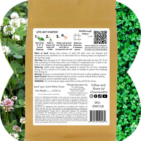 Flawn Seed Kits eco-friendly-lawn option for sustainable landscaping.