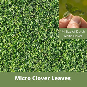 Flawn Seed Kits micro clover seed germination—watch seeds sprout as soil warms.