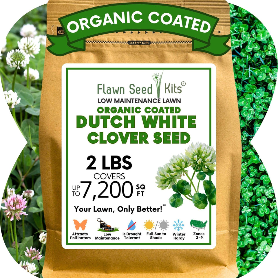 Flawn Seed White Dutch Clover seeds packaging ready for easy lawn setup