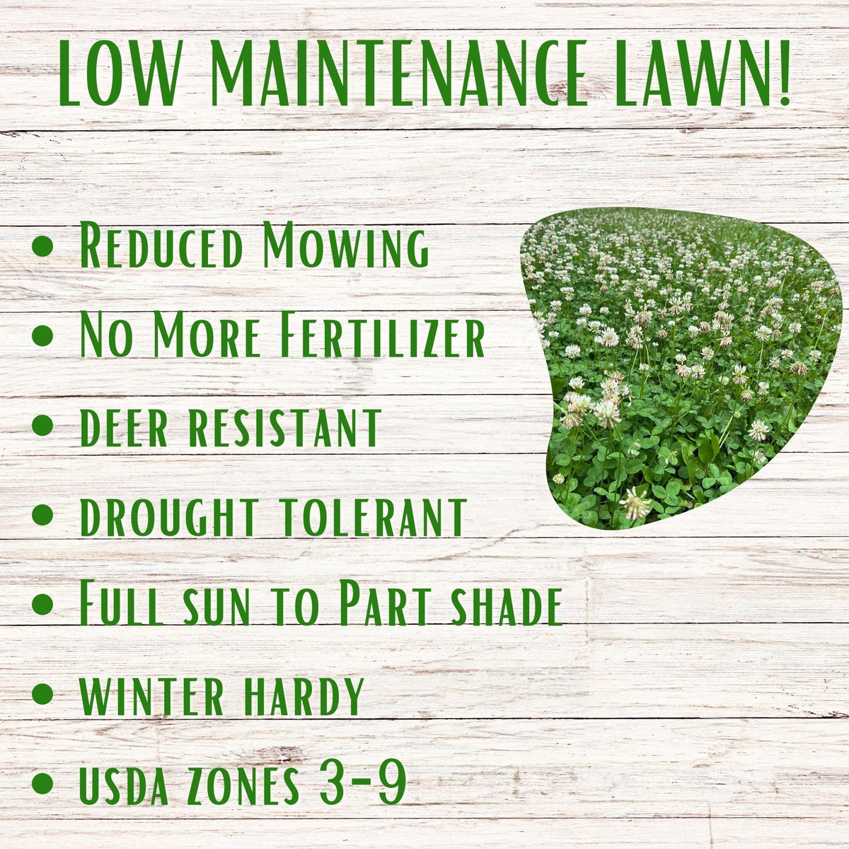 Flawn Seed White Dutch Clover supported by a U.S.-based family-owned business