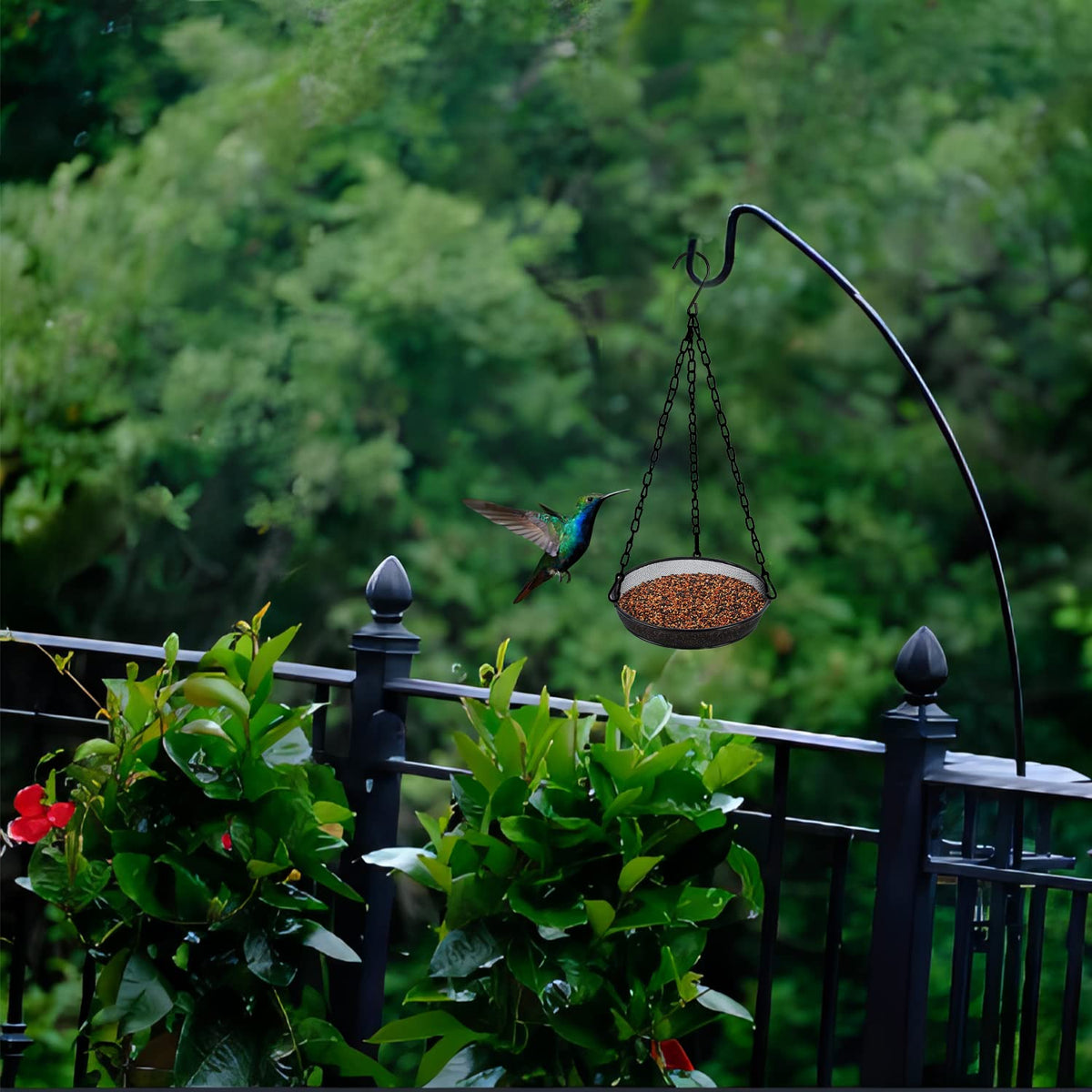 FLINTER Attracts wild birds, elevating backyard ecology and observation.