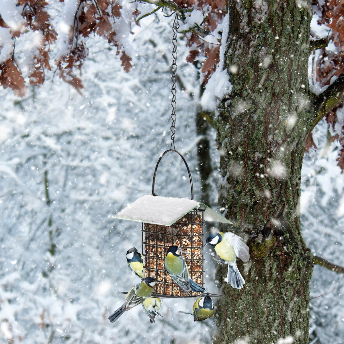 FLINTER basket-style feeder with easy-open lid for refilling and cleaning.