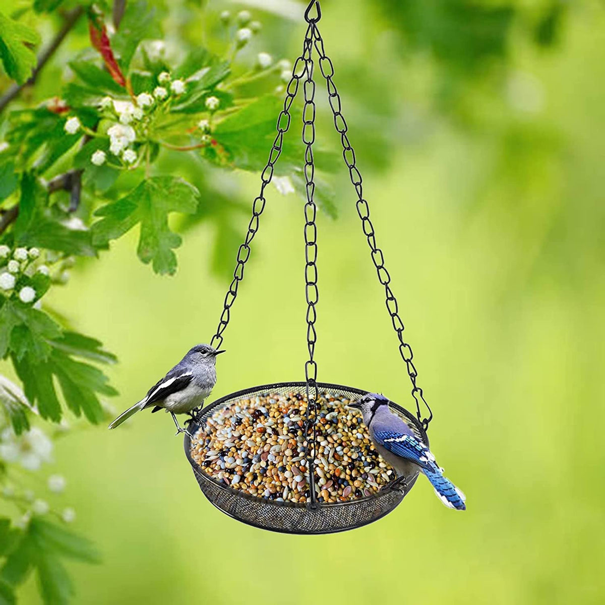 FLINTER adjustable chain feeder adaptable for trees and spaces