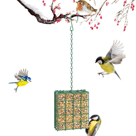 FLINTER Bird Feeder outdoors hanging, simple setup for backyard bird watching.