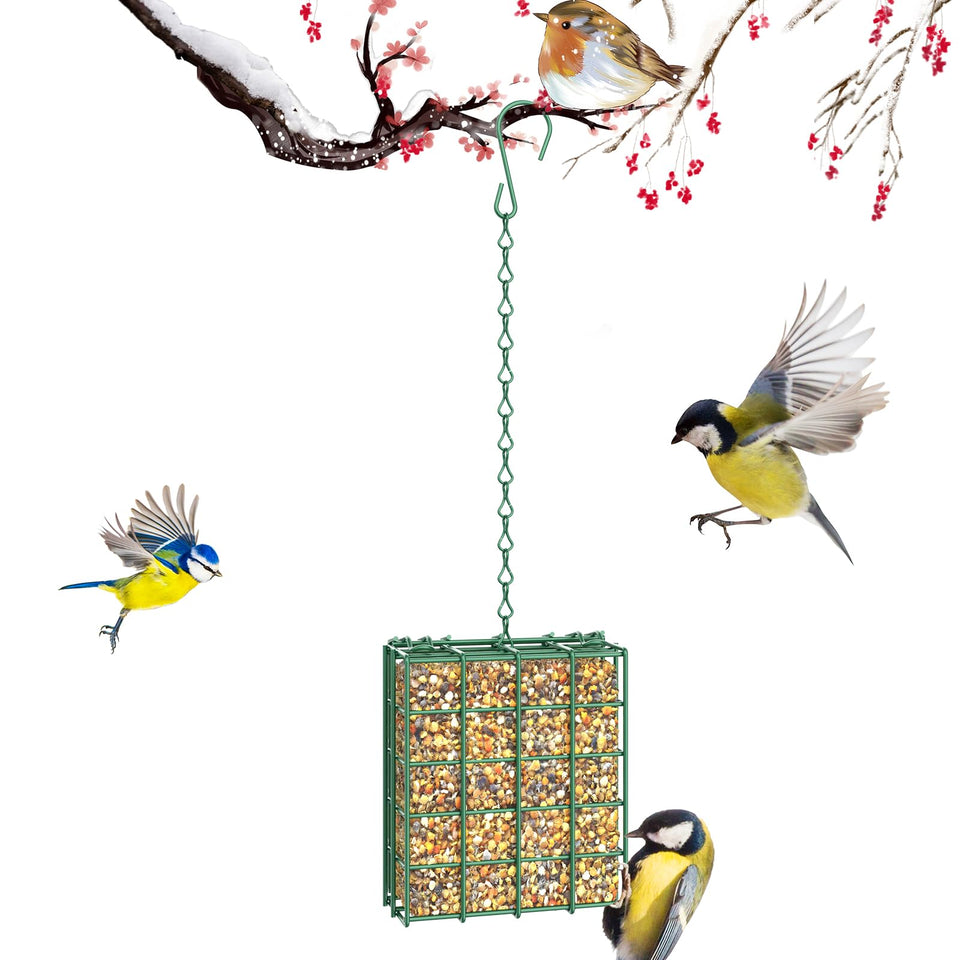FLINTER Bird Feeder outdoors hanging, simple setup for backyard bird watching.
