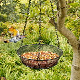 FLINTER wildlife-attracting feeder invites garden birds into your yard