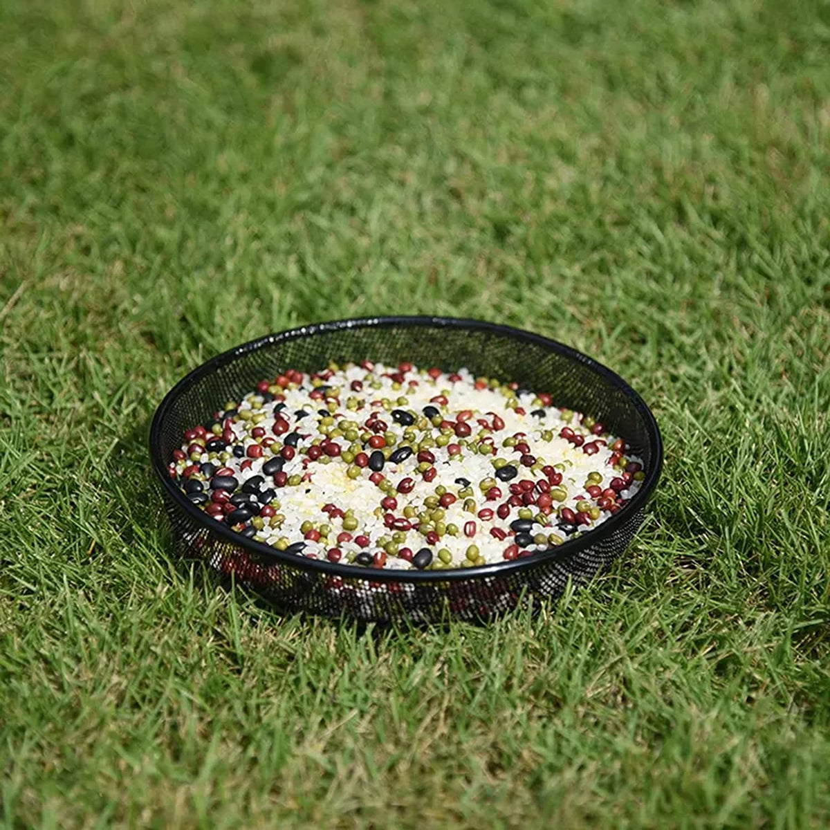 FLINTER Outdoor rust-proof feeder withstands weather for year-round feeding.