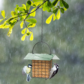 FLINTER suet feeder holding seed cakes and fruit for variety.
