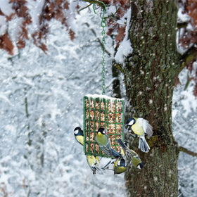 FLINTER Tree-mounted feeder invites birds to visit natural habitat.