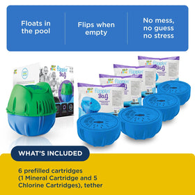 Chlorine cartridge from Flippin' FROG ensuring consistent pool sanitizing.