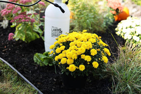 Lawn and garden spraying with Flo-Master by Hudson for versatile outdoor tasks