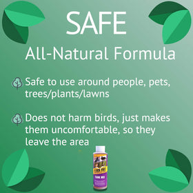 Flock Free dries clear after application on surfaces around homes and businesses.