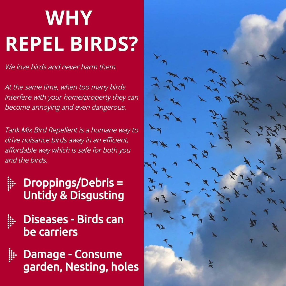 Flock Free ready-to-use two-gallons saves on frequent reapplication.