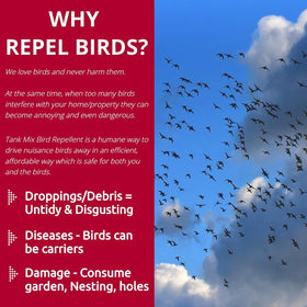 Flock Free ready-to-use two-gallons saves on frequent reapplication.