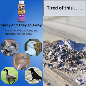 Flock Free Tank Mix building application reduces bird activity on exterior structures.
