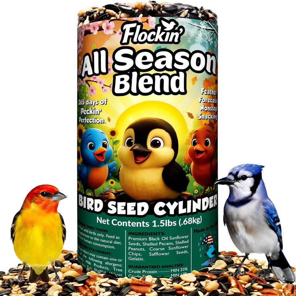 Flockin' All-Year Seed Cylinder with hole supports year-round feeding for busy yards.
