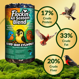 Flockin' backyard-bird-watching-pleasure creates a lively avian show on your deck.