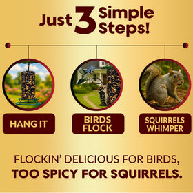 Flockin backyard setup showing birds feeding with reduced squirrel visits.
