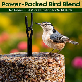 Birds feeding from the cylinder in a backyard setting.
