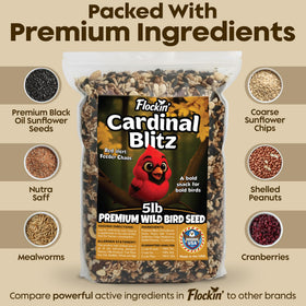 Close-up of premium ingredients in Flockin' Cardinal Seeds for backyard birds