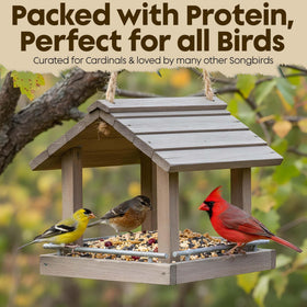 Sunflower-based mix from Flockin' Cardinal Seeds sustains cardinals