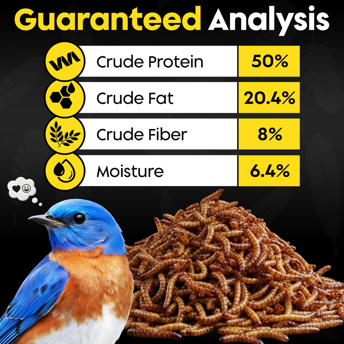 Flockin' Dried Mealworms year-round use demonstrating versatile backyard feeding.