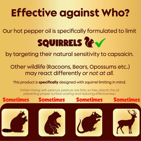 Flockin' Flaming Hot Pepper Oil used outdoors, ideal for garden feeders in sun.
