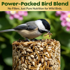 Flockin' Long-lasting cylinder image, reduces refills at the feeder.