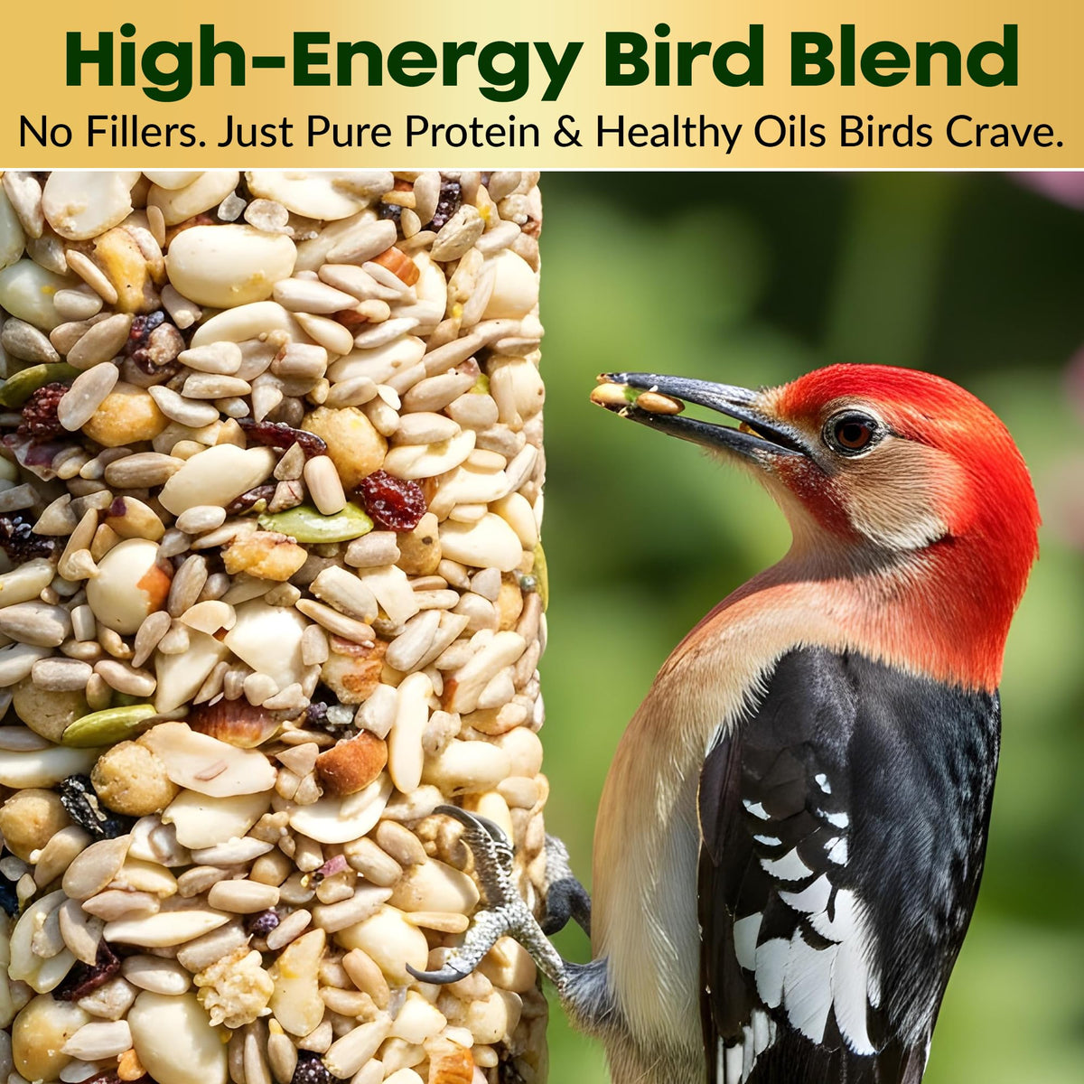 Flockin' long-lasting seed cylinder supports extended bird feeding