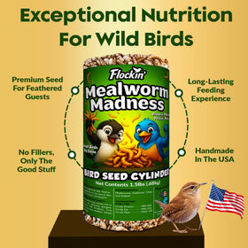 Flockin' Dried mealworms macro shot, premium protein for visitors.