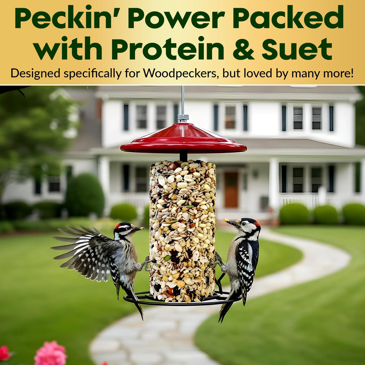 Flockin' woodpecker-friendly blend attracts cardinals and chickadees