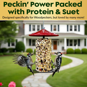 Flockin' woodpecker-friendly blend attracts cardinals and chickadees