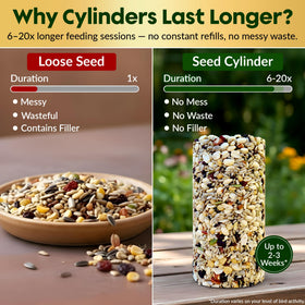 Flockin' woodpecker seed cylinder attracting backyard birds